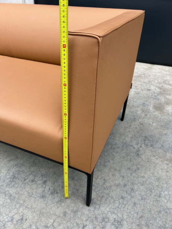 Image 1 of 2 divani in pelle Andreu World, Raglan SF