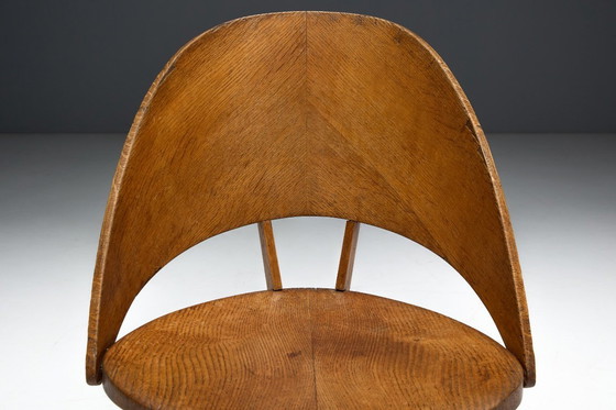 Image 1 of Mid-Century Plywood Dining Chairs, Italy, 1950s