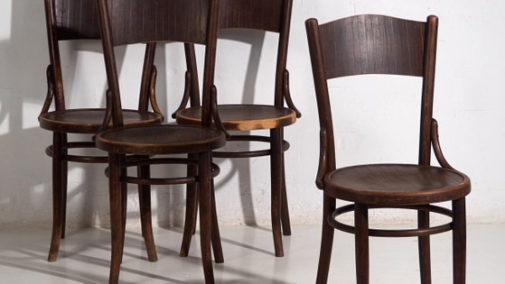 Thonet-Mundus antique bentwood chairs (c.1920). Set of 4 pieces #3 – Dining chairs (photo 3 of 40)