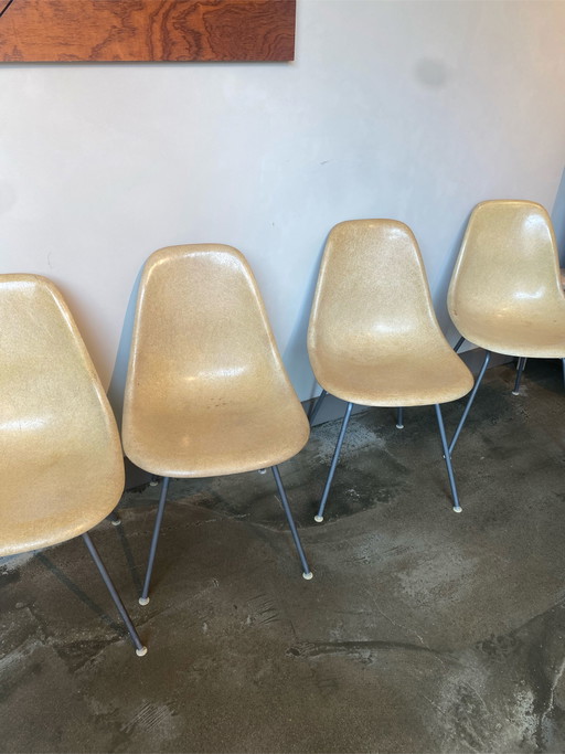 4xVintage Eames/HermanMiller DSW
