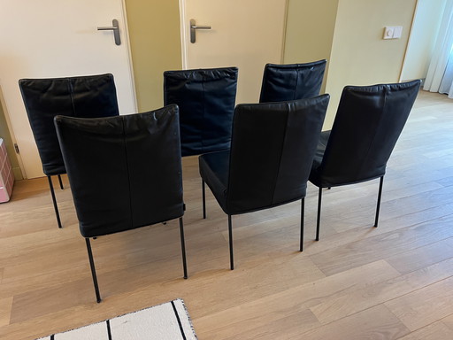 Montis dining room chairs