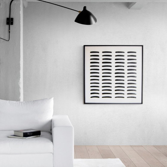 Image 1 of Coquilles de rasoir noires - 83 x 83 cm