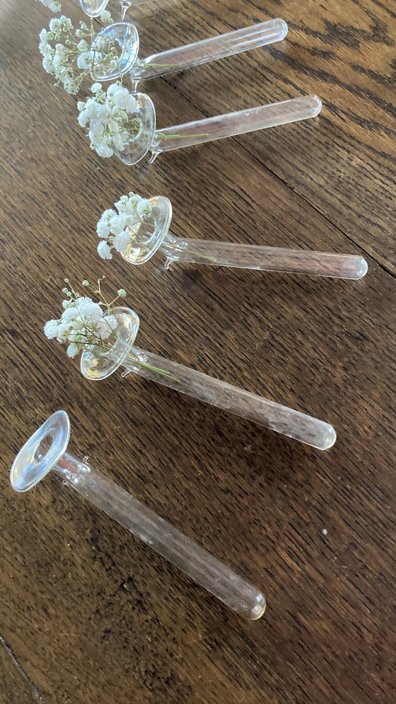 Image 1 of Vasi in vetro con gambe sottili e sottili