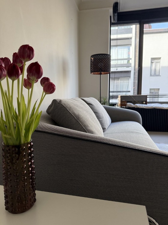 Image 1 of Leolux Elias armchair