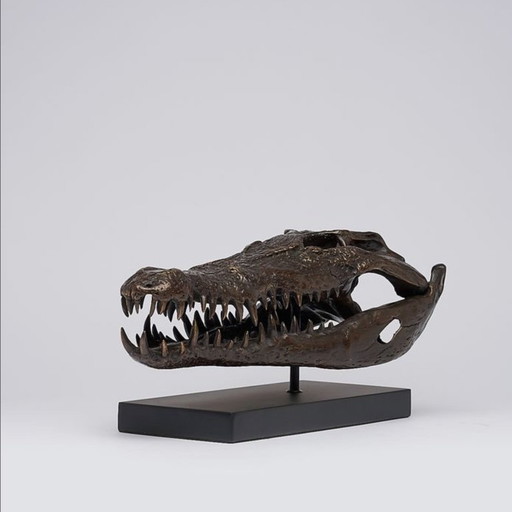 Saltwater crocodile skull in bronze - Indonesia