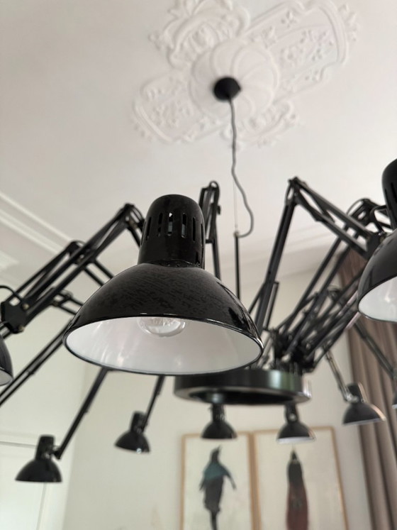 Image 1 of Lampada a sospensione Dear Ingo - di Ron Gilad - Moooi