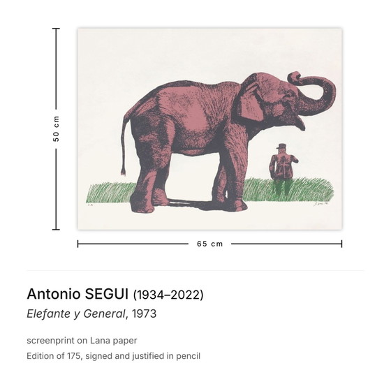 Image 1 of Antonio SEGUI Elefante y General Serigrafia firmata 1973