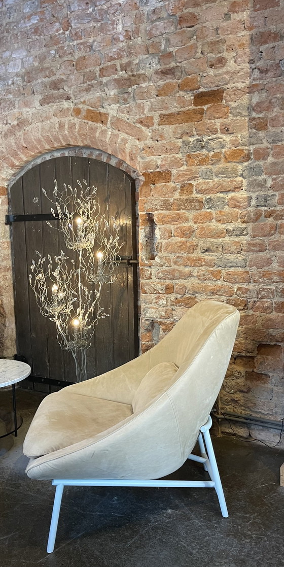 Image 1 of Fauteuil Pode Tresto en magnifique cuir naturel Neron