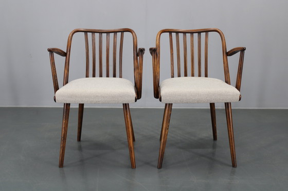 Image 1 of 1960 Antonin Suman Ensemble de six chaises de salle à manger en hêtre, restaurées