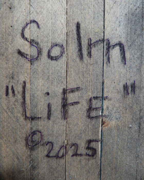 Eric Van Solm - 'Life' – Sculpture, Wood, Hedendaags (photo 8 of 8)