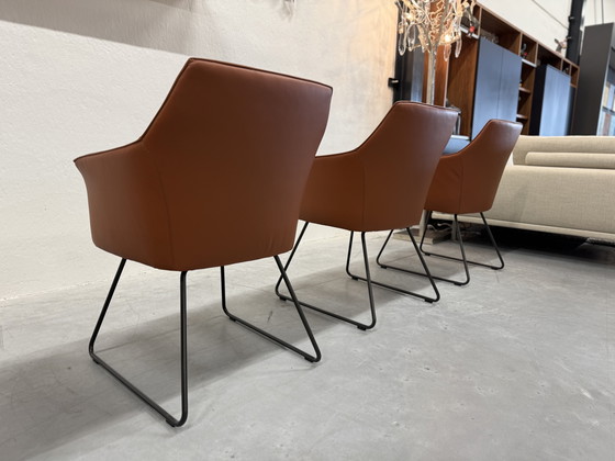 Image 1 of 4 Leolux Mara Dining Chairs Wapiti Hawk leather