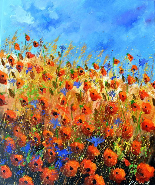 Red poppies