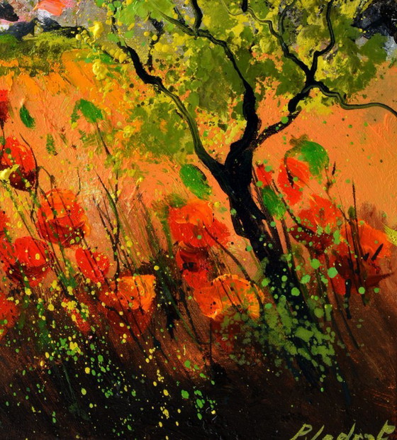 Image 1 of Coquelicots en Provence