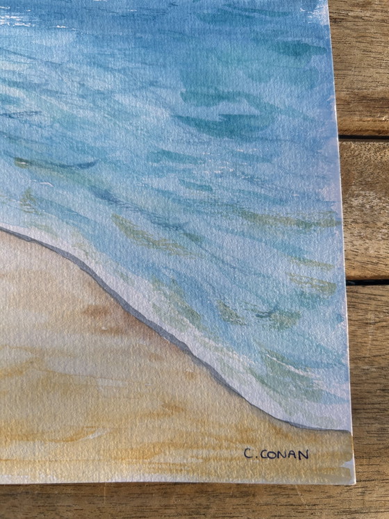 Image 1 of Watercolor seaside birds