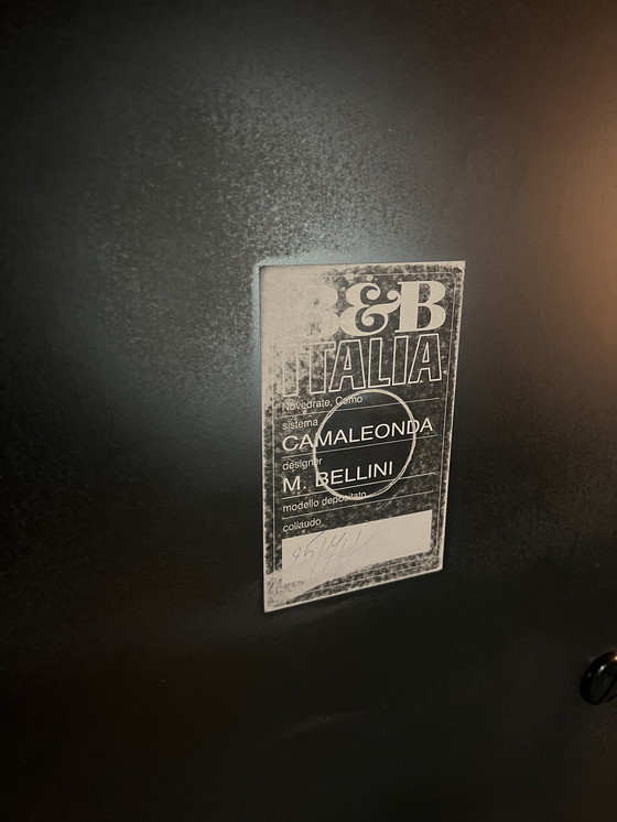 Image 1 of Camaleonda sofa van B&B Italia