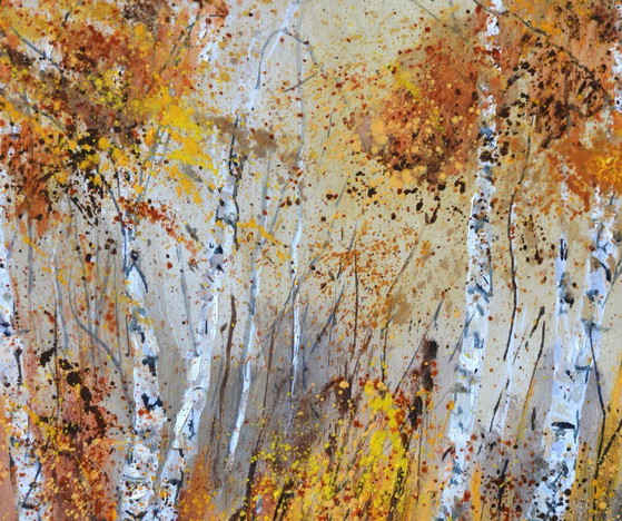 Image 1 of Aspen trees
