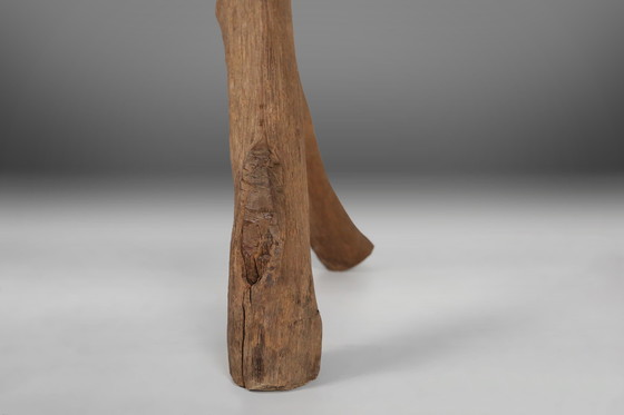 Image 1 of Panca rustica ricavata da un tronco d&#39;albero, Francia, anni &#39;50 del XIX secolo
