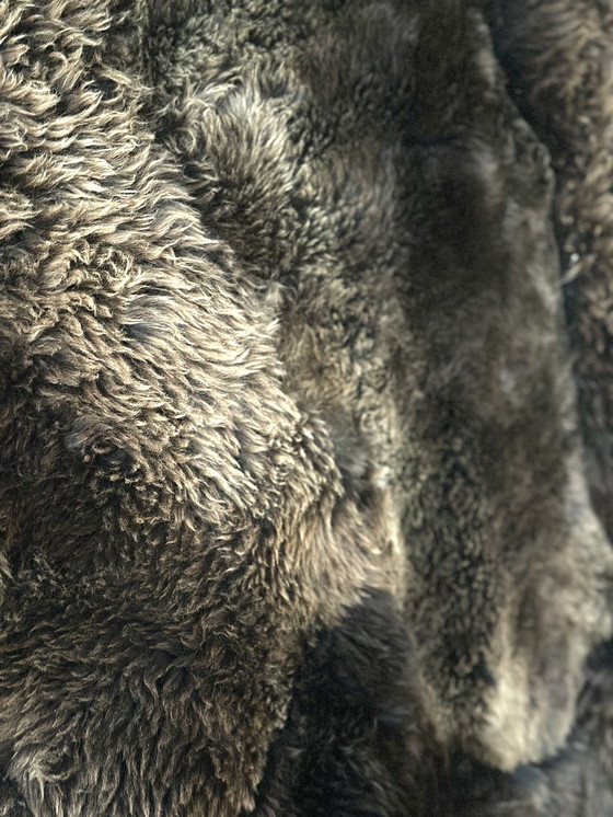 Image 1 of Art Manteau Rug