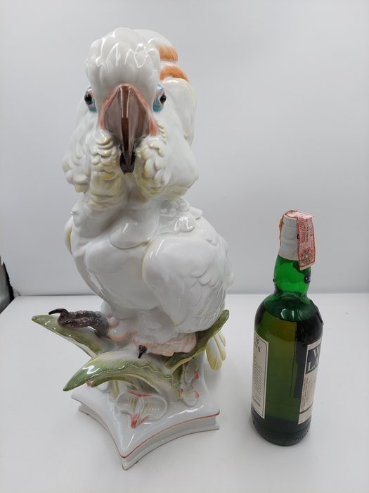 Image 1 of Meissen - Paul Walther - Statue, Cockatoo - 47 cm - Porcelain