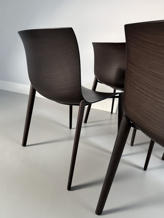 Image 1 of 4 Arper Catifa 53 design stoelen hout Wengé