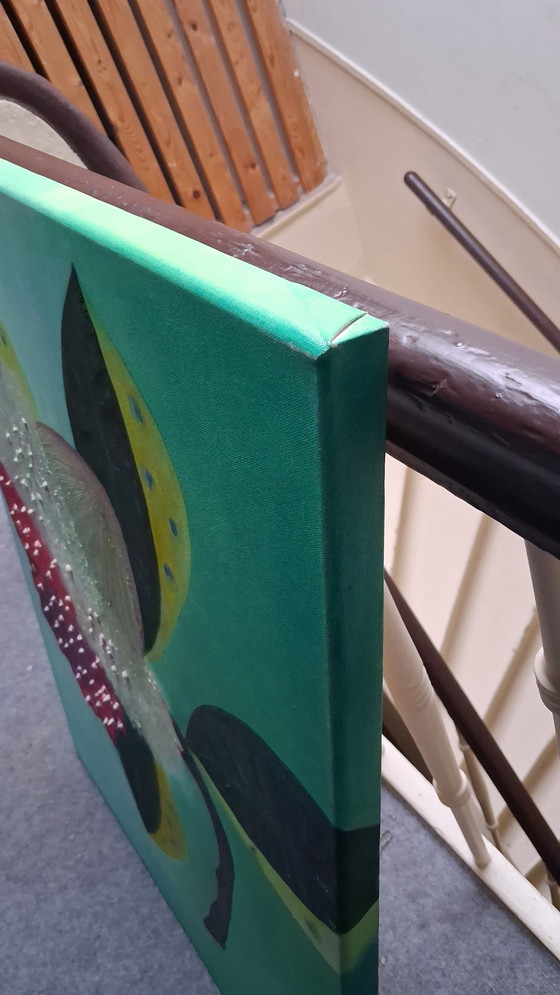 Image 1 of Fructus imaginae fruit of the imagination