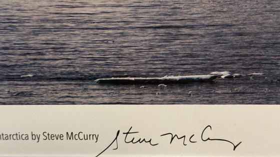 Image 1 of Steve McCurry - Galerie de IJzeren Man - Antartide di Steve McCurry - Anni 2000
