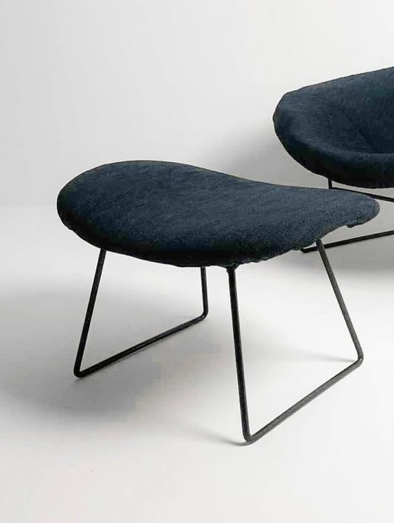 Harry Bertoia « Oiseau » - Knoll International – Fauteuils, Textile (photo 5 of 5)