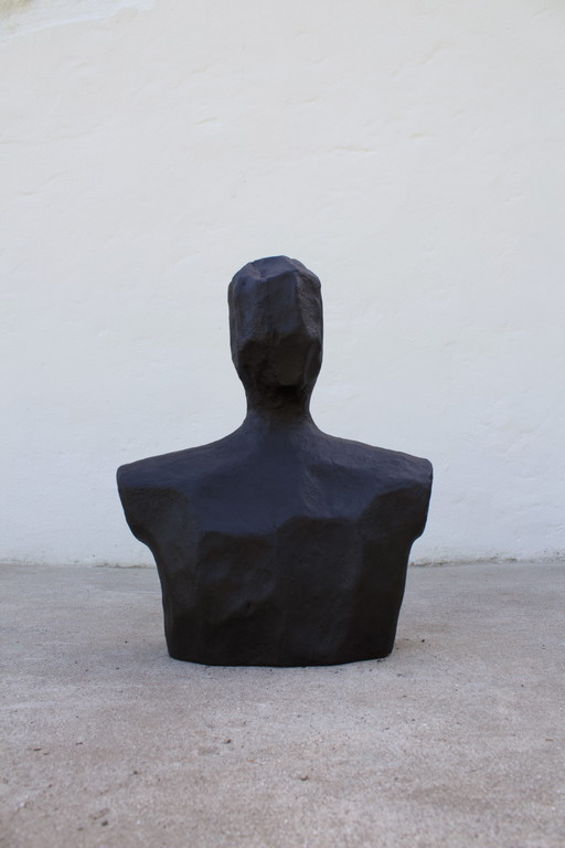 Torso
