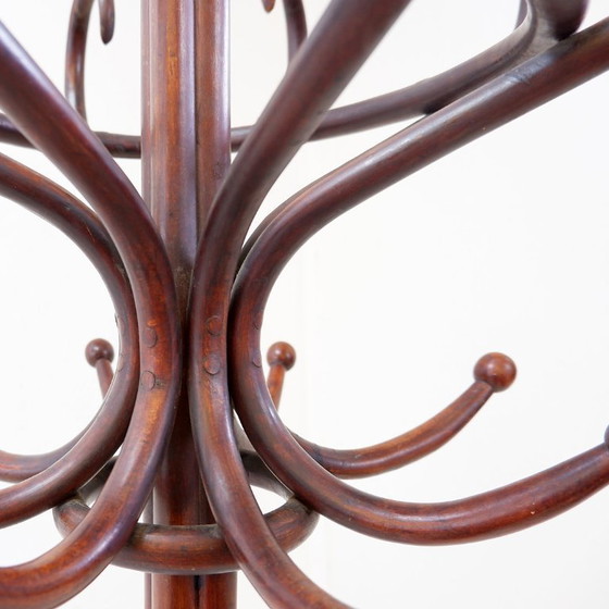 Image 1 of Grote kapstok van gebogen hout in de stijl van een papegaai, in de Thonet-uitvoering – begin 20e eeuw
