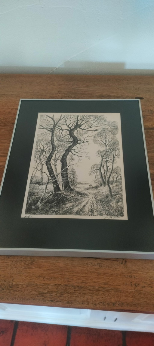 Disegno autunnale di Luc De Pauw