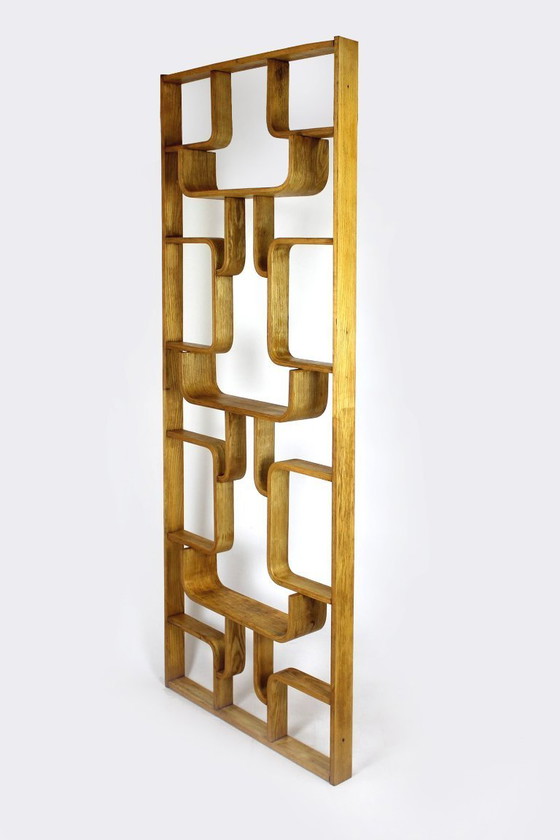 Image 1 of Mid-Century Modern Room Divider by Ludvik Volak for Drevopodnik Holesov, 1960s