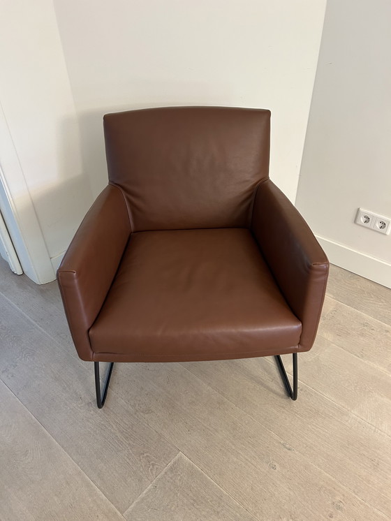 Image 1 of Sedia Tumbler - Design on Stock