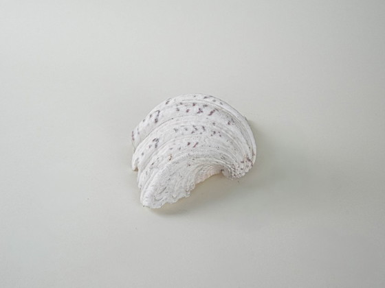 Image 1 of Concha decorativa Tritón, estilo bohemio, años 80