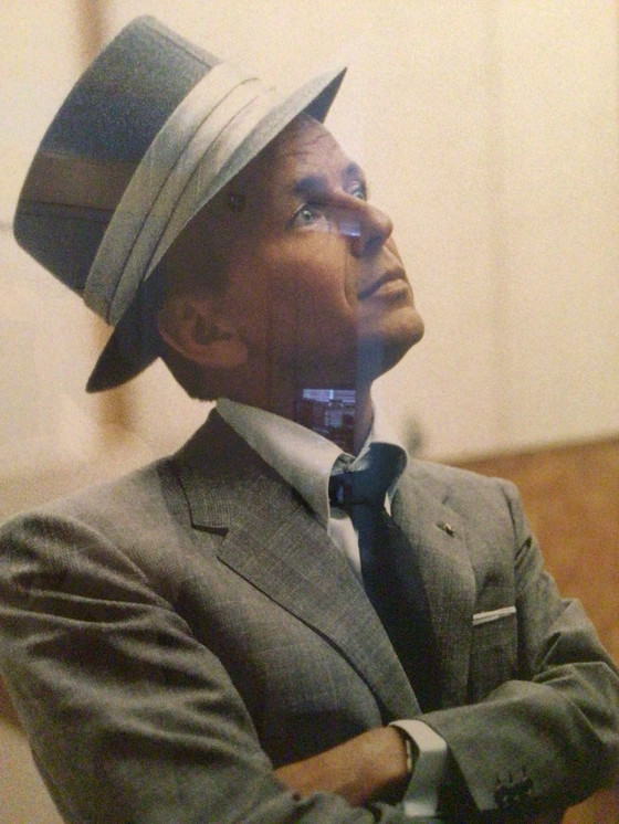 Image 1 of veranda foto / 3 platenhoezen/ koffietafelboek van Frank Sinatra