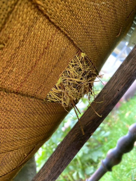 Image 1 of Dagobert ridderstoel leder 1900