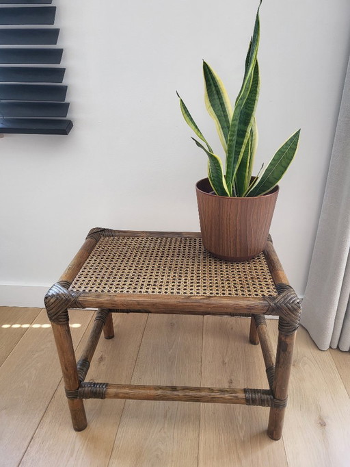 Rattan side table or plant table