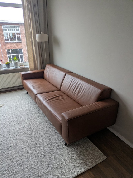 Lederland Chiel Divano Design in Pelle Cognac Chiel – Divani 3 posti, Leather (photo 5 of 5)