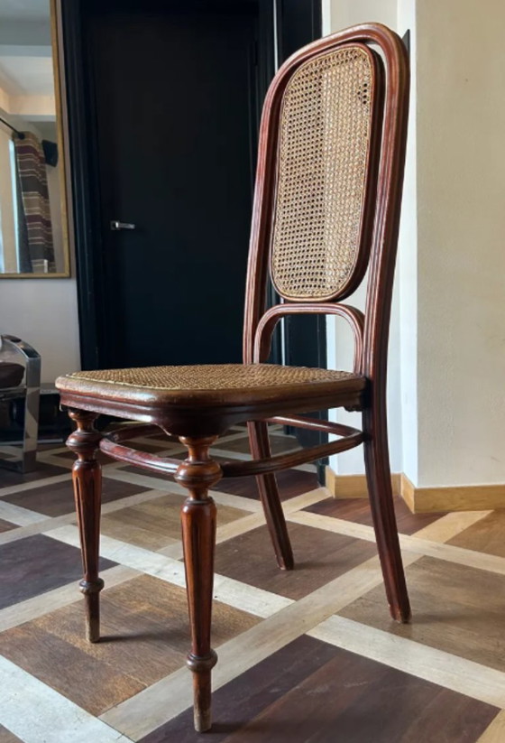Image 1 of Antieke Thonet-stoel van gebogen hout en riet - Model nr. 32