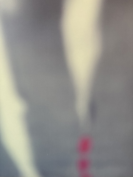 Obra de arte híbrida de 2004, de Trees De Mits. – Fotografías, Aluminium (photo 4 of 5)
