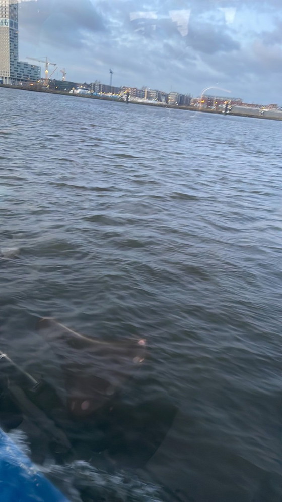 Image 1 of 4x Matteo Grassi dining chairs and 1 dining table