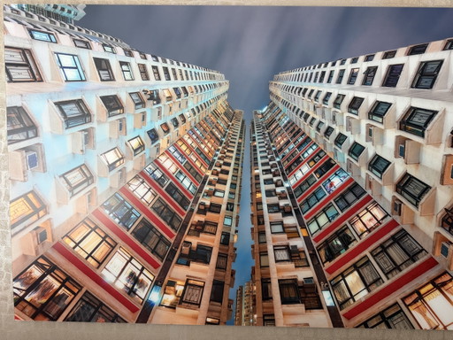 Kornhill Garden – fotografie, Paper, Aluminium