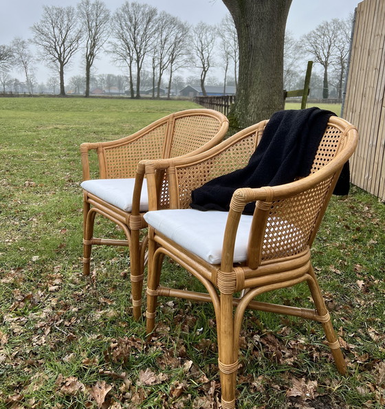 Image 1 of Due sedili avvolgenti in fettuccia e bambù