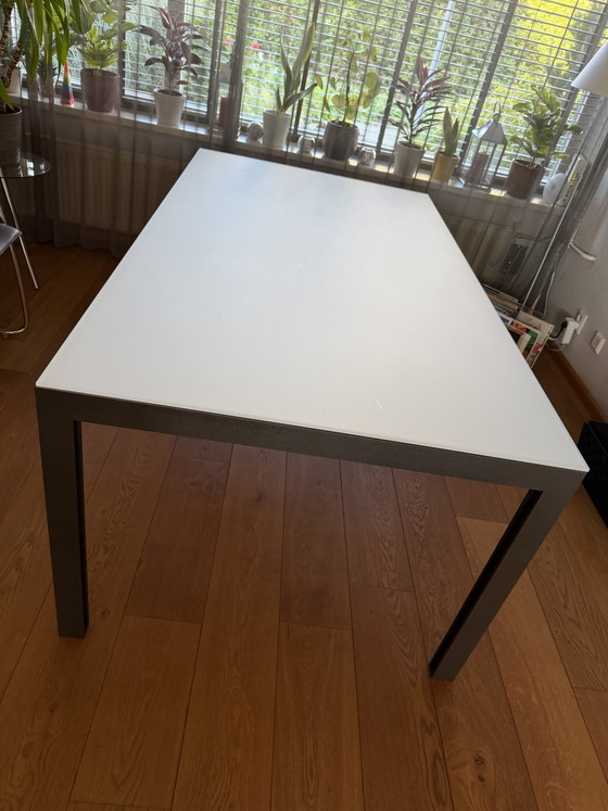 Tavolo da pranzo Leolux Cameleon 180x100cm – Tavoli da pranzo, Glass (photo 2 of 5)