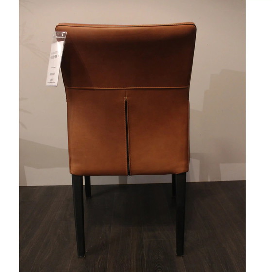 Image 1 of Capriccio e