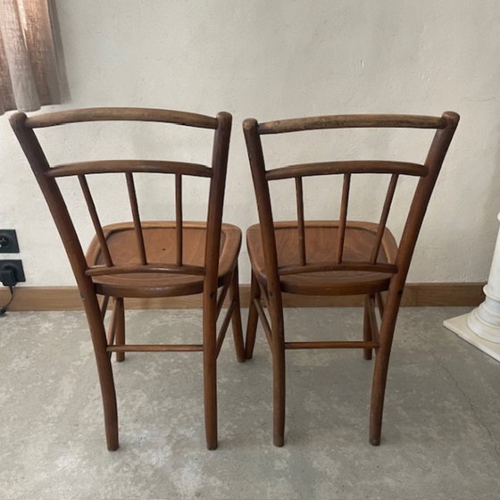 Twee bistrostolen, Luterna – Eetkamerstoelen, Wood (photo 6 of 6)
