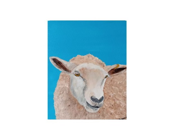 Image 1 of painting sheep (1)