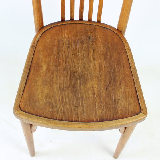 Image 1 of Vintage Thonet Bentwood Oak Chair With Original Label, Czechoslovakia, 1920s