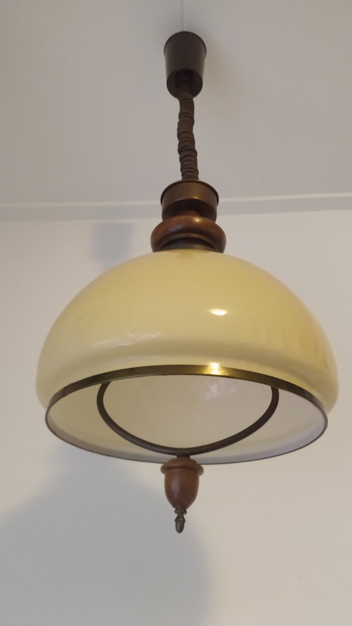 Vintage mushroom pendant lamp