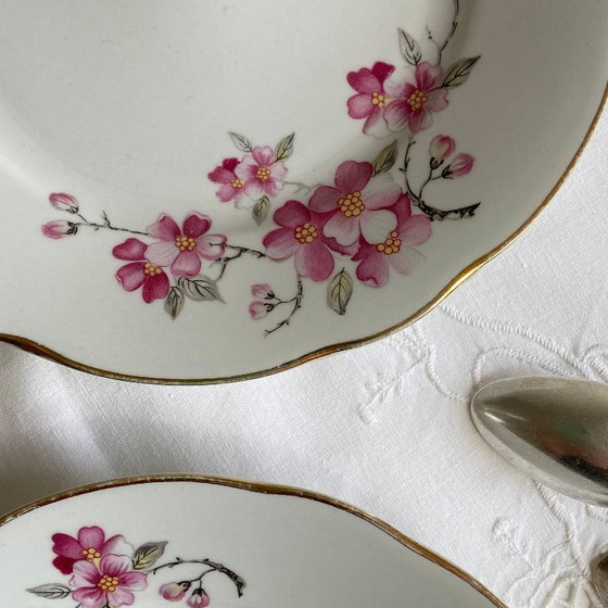 Image 1 of Set aus 6 antiken Desserttellern aus Royal Tognana Porzellan, Italien