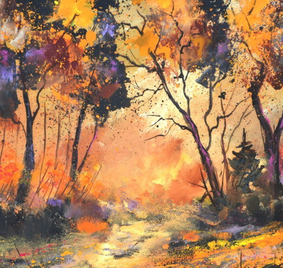 Image 1 of Autumnal trees